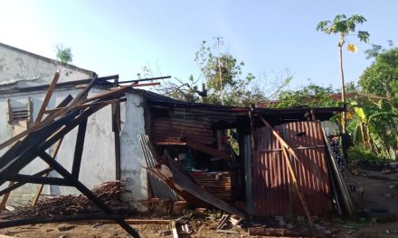 Angin Puting Beliung Manghantam Lampung Utara, Warga Panik