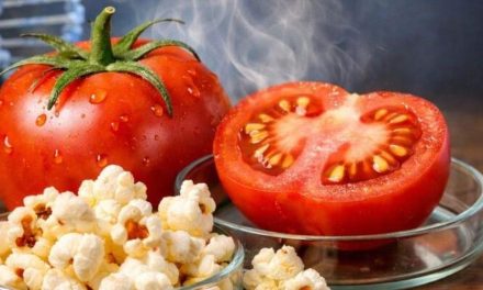 Tomat Rasa Popcorn? Ilmuwan China Berhasil Ciptakan Inovasi
