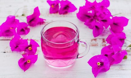 Sirup Bunga Kertas Sebagai Alternatif Minuman Sehat, Yuk Simak