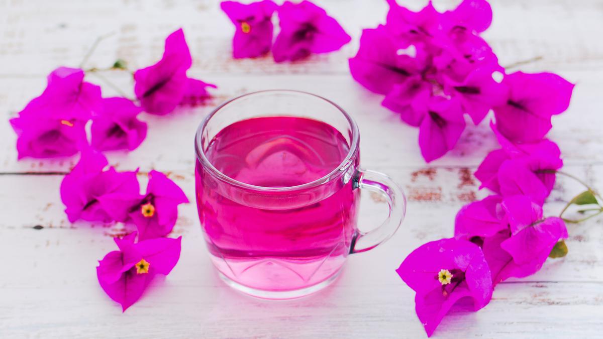 Sirup Bunga Kertas