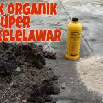 Pupuk Alami Dari Kotoran Burung Dan Kelelawar!, Yuk Kita Bahas