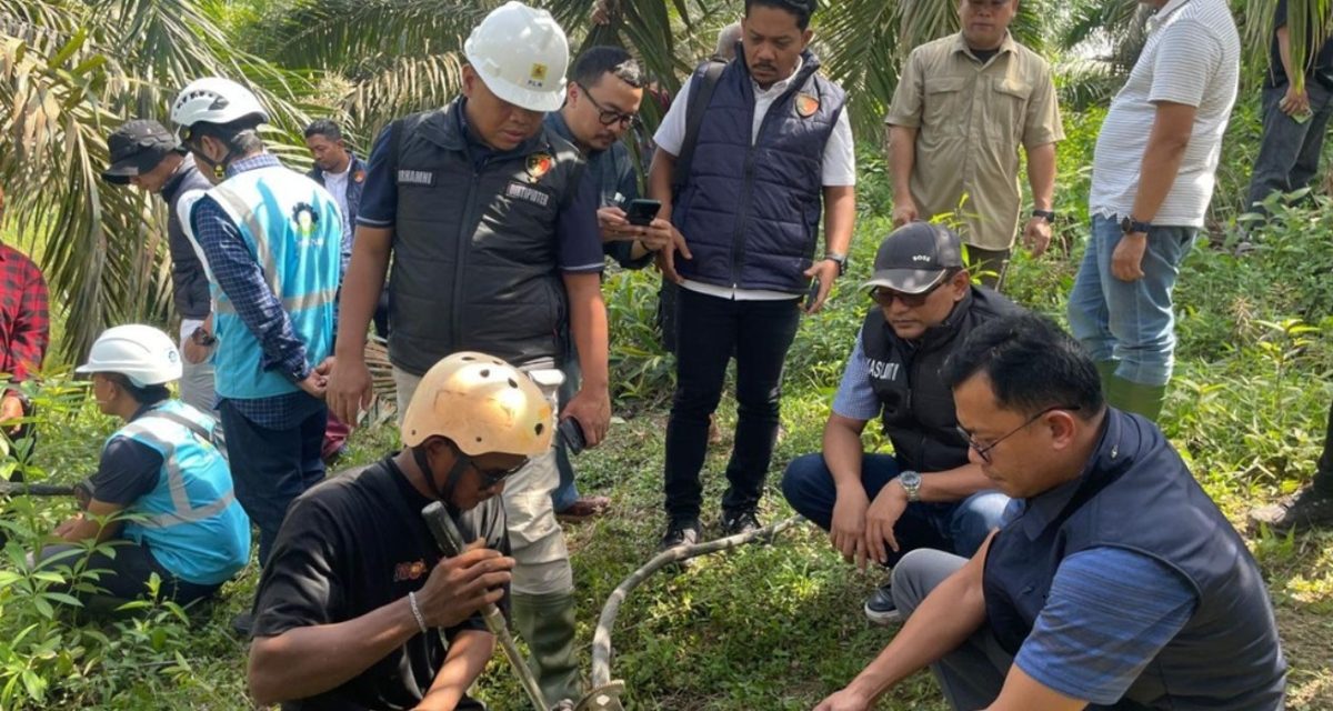 Fakta Di Balik Blackout Sumatera Kabel SUTET Putus Jadi Pemicu