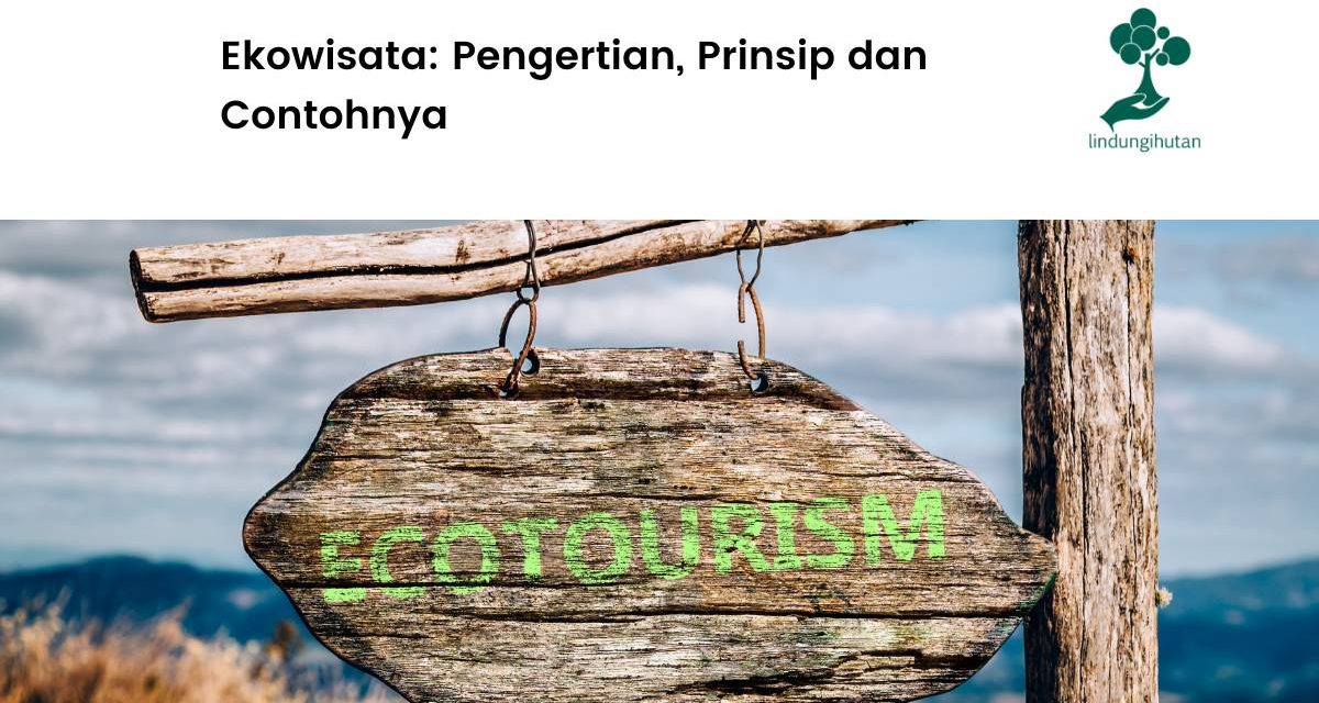 Memanfaatkan Potensi Daerah Kamu Dengan Konsep Ekowisata