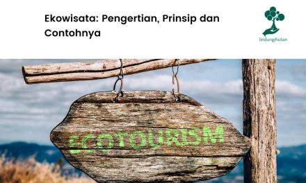 Memanfaatkan Potensi Daerah Kamu Dengan Konsep Ekowisata
