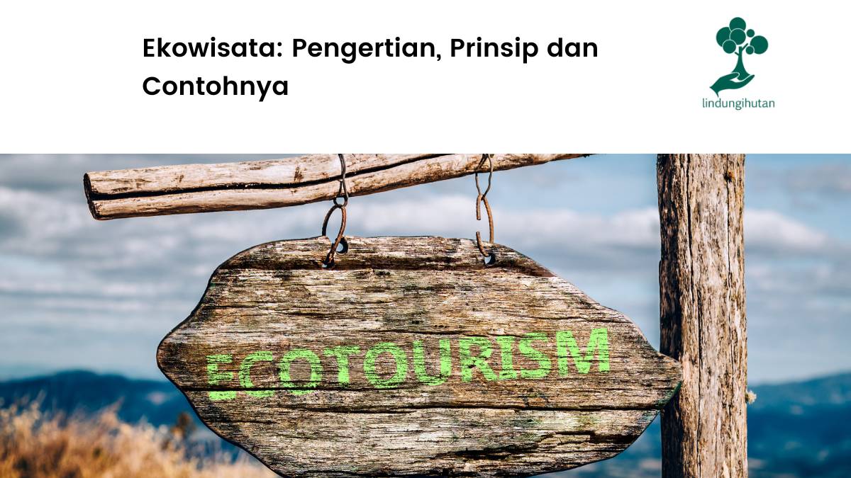 Memanfaatkan Potensi