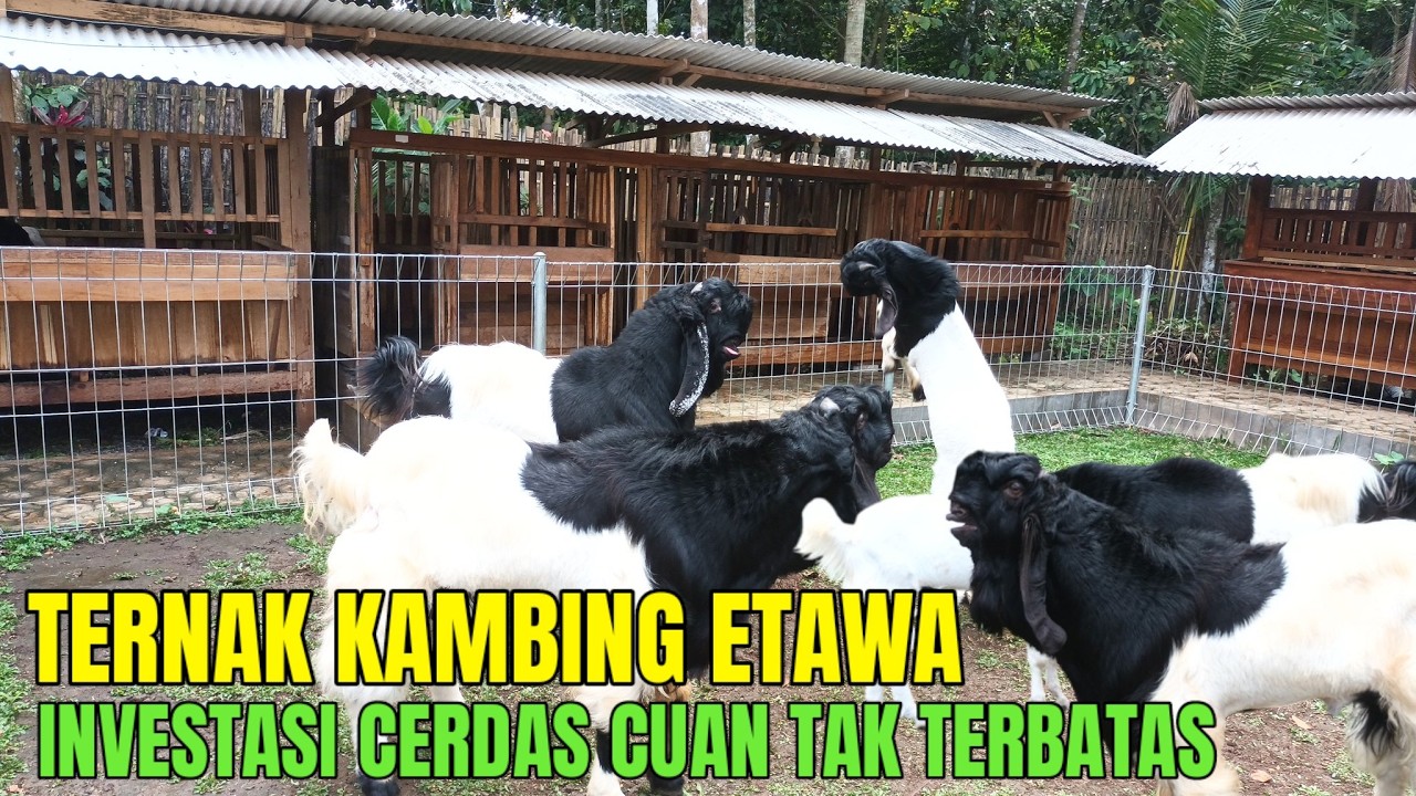 Membuka Peluang Bisnis