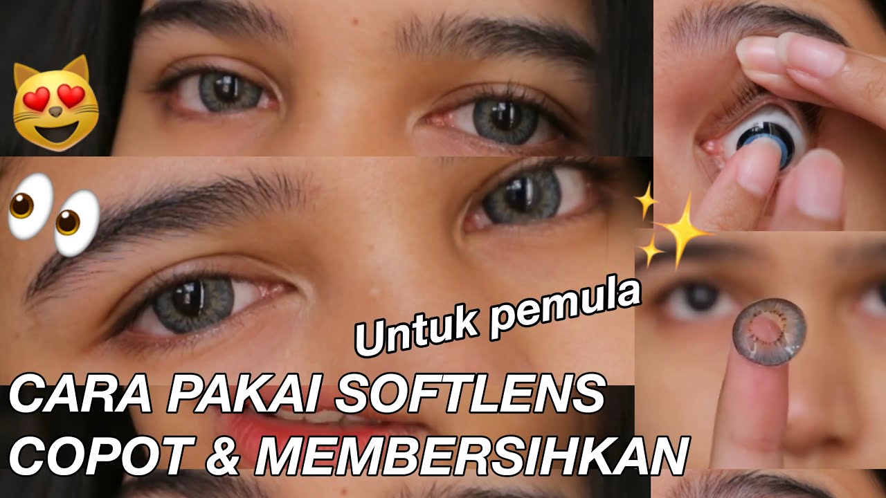 Rekomendasi Softlens Bagi Pemula